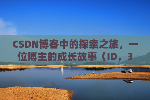 CSDN博客中的探索之旅,一位博主的成长故事(ID,369523246)